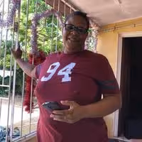 labVibealex