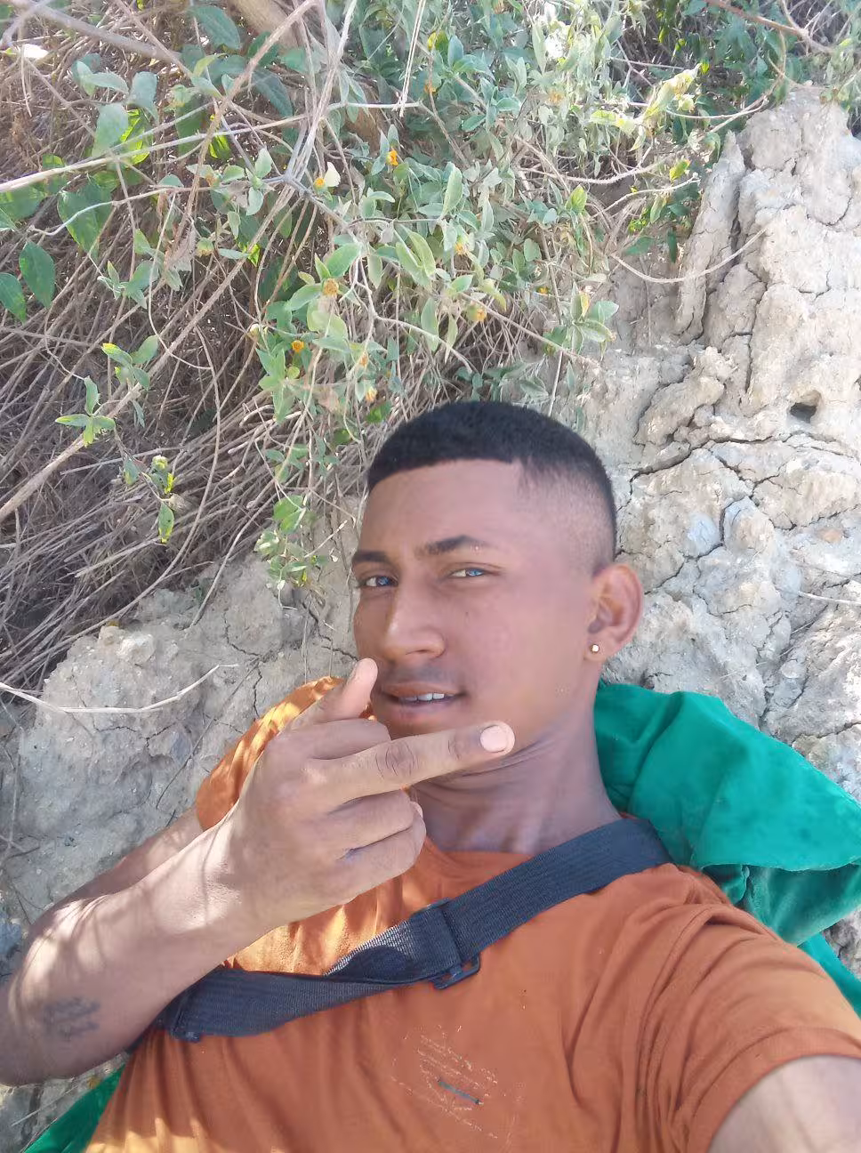 vaultfriend